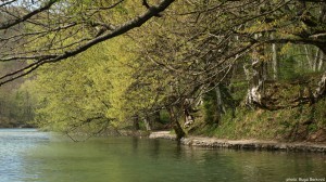 Kozjak F 20160407